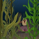 Thumb 5164e45670f52f4ec8000001