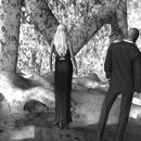 Thumb 5903f8b673ed1770d1000001