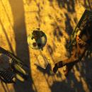 Thumb 59186fca289dd21ccb000001