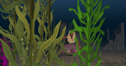 Web 5164e45670f52f4ec8000001