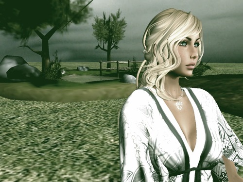 Web 56d7a23fe85cda6fb7000001