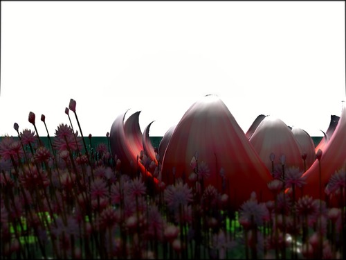 Web 56dbb140e85cda375a000001