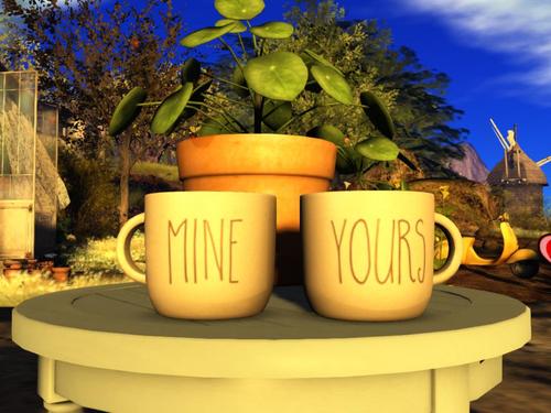 Web 59186a22d774f87bf0000001