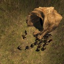 Thumb 4f7cb555a5a7467f21000001