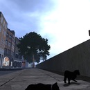 Thumb 54669b4a128cc97a0d000001