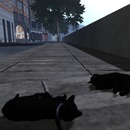 Thumb 54669c4bf8a1ec7112000001