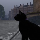 Thumb 546a3bc2f8a1ec5f09000001