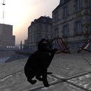 Thumb 546a3d8d8da57253b9000001