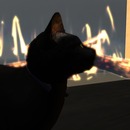 Thumb 546e25fdf8a1ec295b000001