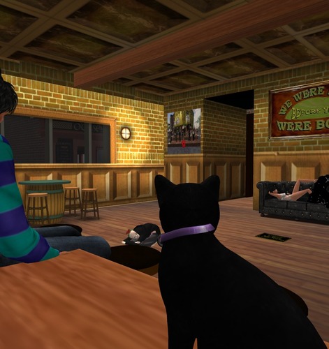 Web 5471df8d128cc91a33000001