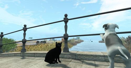 Web 61d725c67e7f474cfc751b07