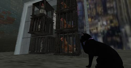 Web 62e552922195450450ae147f