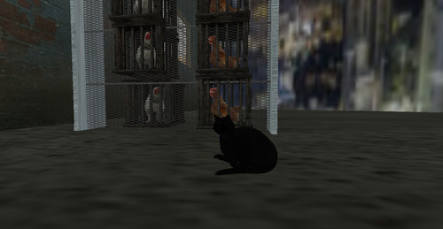 Web 63a849352b507021243e04f8