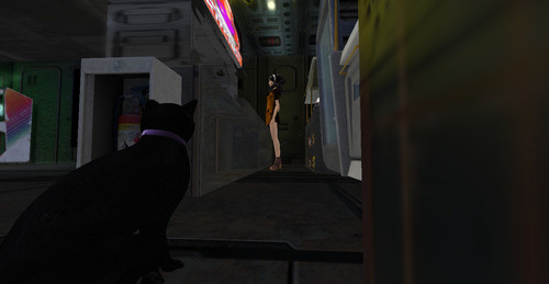 Web 6405d01177d58f341d7e1041