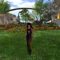 Small 58e6b14173ed17647f000001