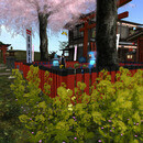 Thumb 661fd96b8031593f78565e4b