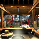 Thumb 6623bd6cc32c9721d5d3a51e