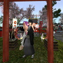 Thumb 66456bde20ed661174c9928f