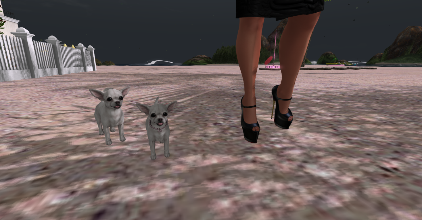 Original 5cb6d8a5289dd23a4e000001