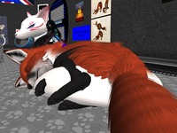 Small 502024f8b98a4d1209000001