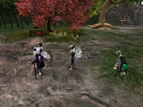 Web 4fe7f49152c5694f45000001