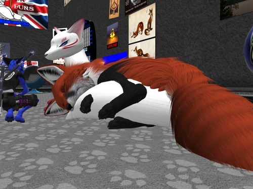 Web 50202192b1371e558c000001