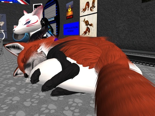 Web 502024f8b98a4d1209000001