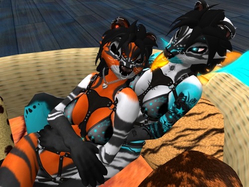 Web 5065d4692820b2756f000001