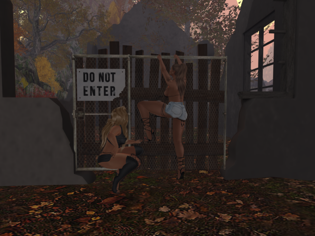 Original 5a847654289dd27f9d000001