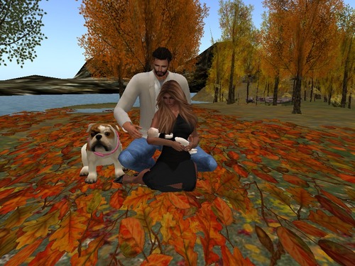 Web 561c95bba73e2110bc000001