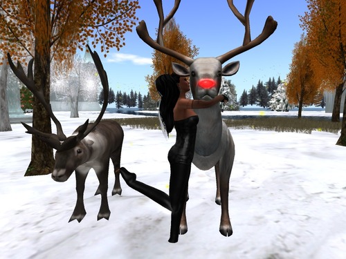 Web 565e01c7128cc93abf000001