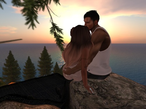 Web 56a85a8376408b354d000001