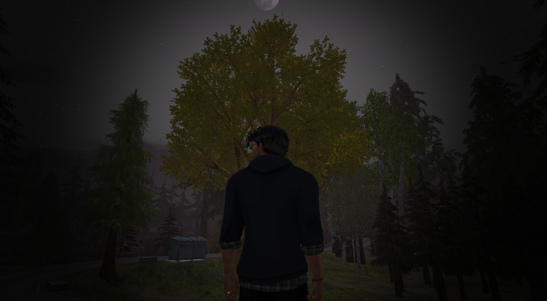 Original 65dc9947bda26c71a68917a6