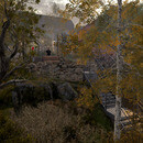 Thumb 65deb335f319e81180145614