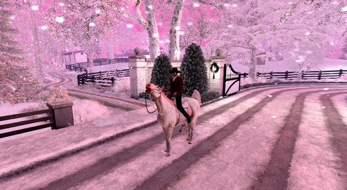 Web 65b5c41395dcc923ed4c7984