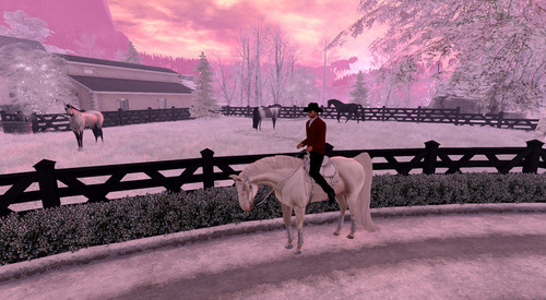 Web 65b5c4de6d613177328812df