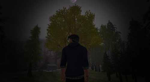 Web 65dc9947bda26c71a68917a6