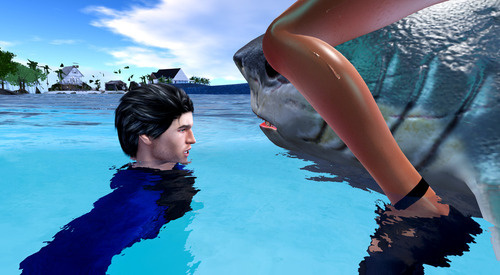 Web 66c15915ddd2431fa2564d95