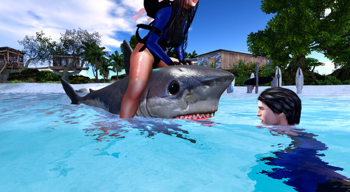 Web 66c159c44130702d3201e9d5