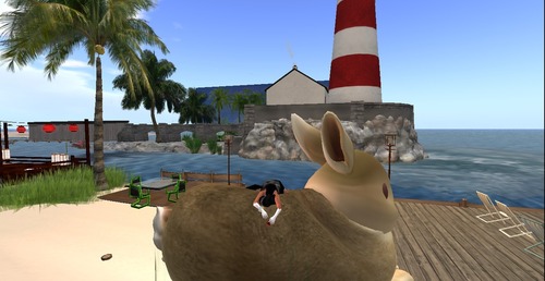 Web 512495a86602f86cea000001