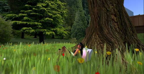 Web 51249d803279371b20000001