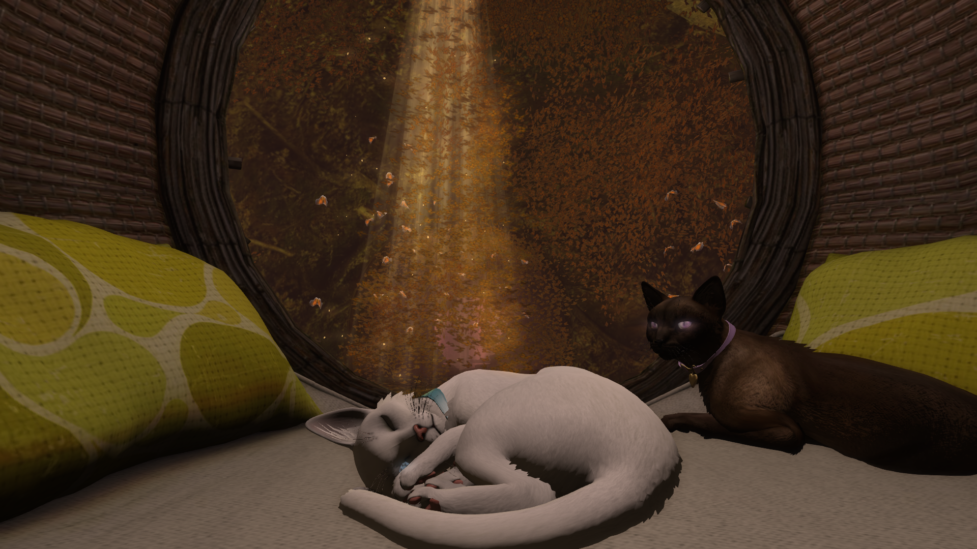 Original 66bc45075e59114434e75162