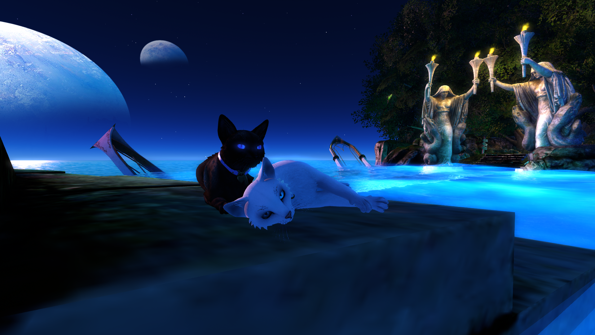 Original 672848db41a8f32b9561888a