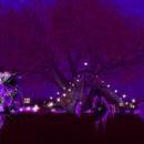 Thumb 607279a60281c127bd6e45ac