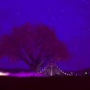 Thumb 60727d7779cbb73e61b2e7eb