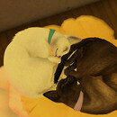 Thumb 6673a183f73d1079ec875b01