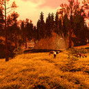 Thumb 6709fe3e3ddf1e349ac0695e