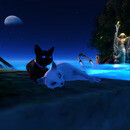 Thumb 672848db41a8f32b9561888a