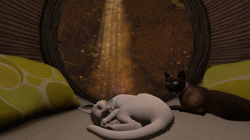 Web 66bc45075e59114434e75162