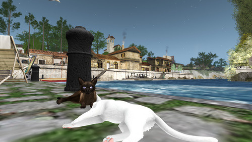 Web 6767bbf11711e7516ea7d082